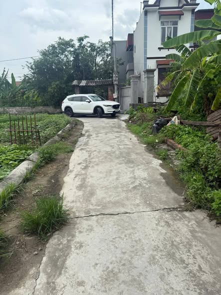 Đất nền Vĩnh Hồng Bình Giang 159m² giá chỉ 1.4 tỷ - Đường ô tô vào tận nơi!