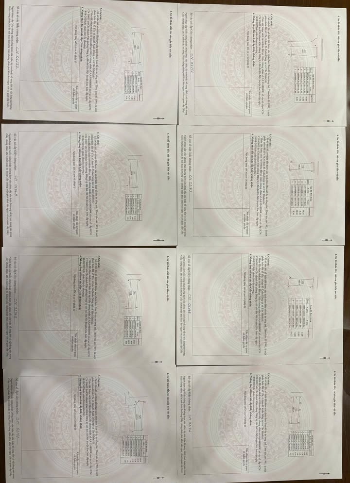 Bán 9 lô đất Tân Minh, Sóc Sơn - Sổ đỏ riêng, giá chỉ từ 1 tỷ!