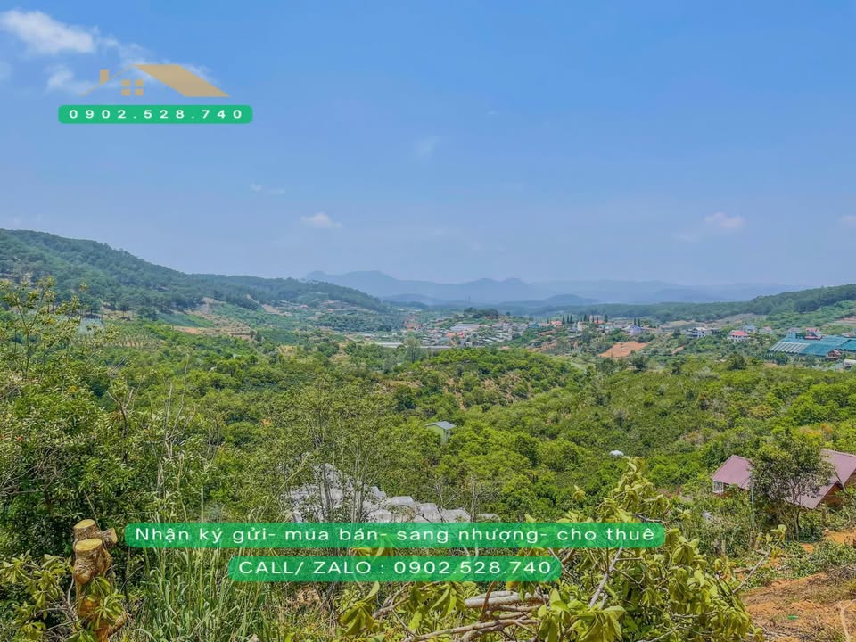Đất nền Xuân Trường Đà Lạt 2828m² giá chỉ 3.8 tỷ - View đẹp, đầu tư sinh lời!