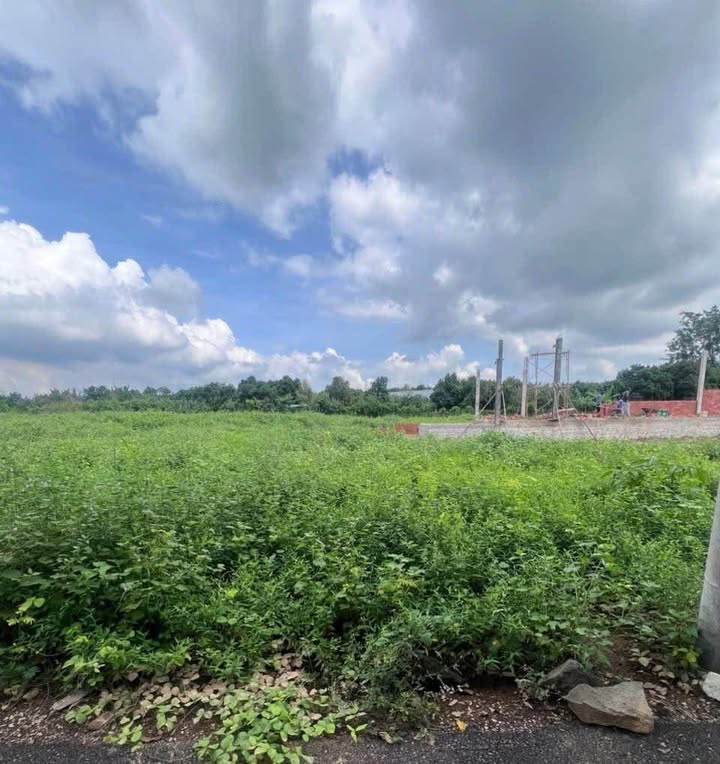 Đất nền mặt tiền nhựa Phước Long Thọ 165m² giá 800 triệu - Cơ hội đầu tư sinh lời!