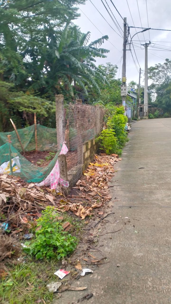 Đất nền xã Bà Nà, Đà Nẵng 160m² giá 1.3 tỷ - Cơ hội đầu tư sinh lời!