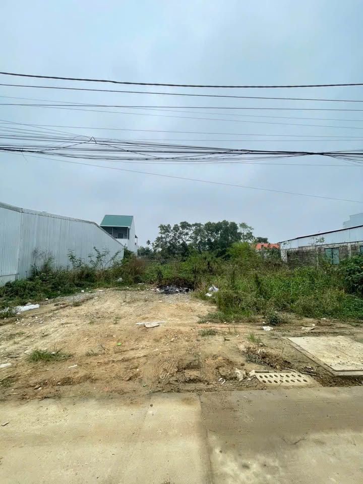 Lô đất KQH Chiết Bi, Phú Thượng, 156m² giá 3.35 tỷ - Đầu tư sinh lời hấp dẫn!