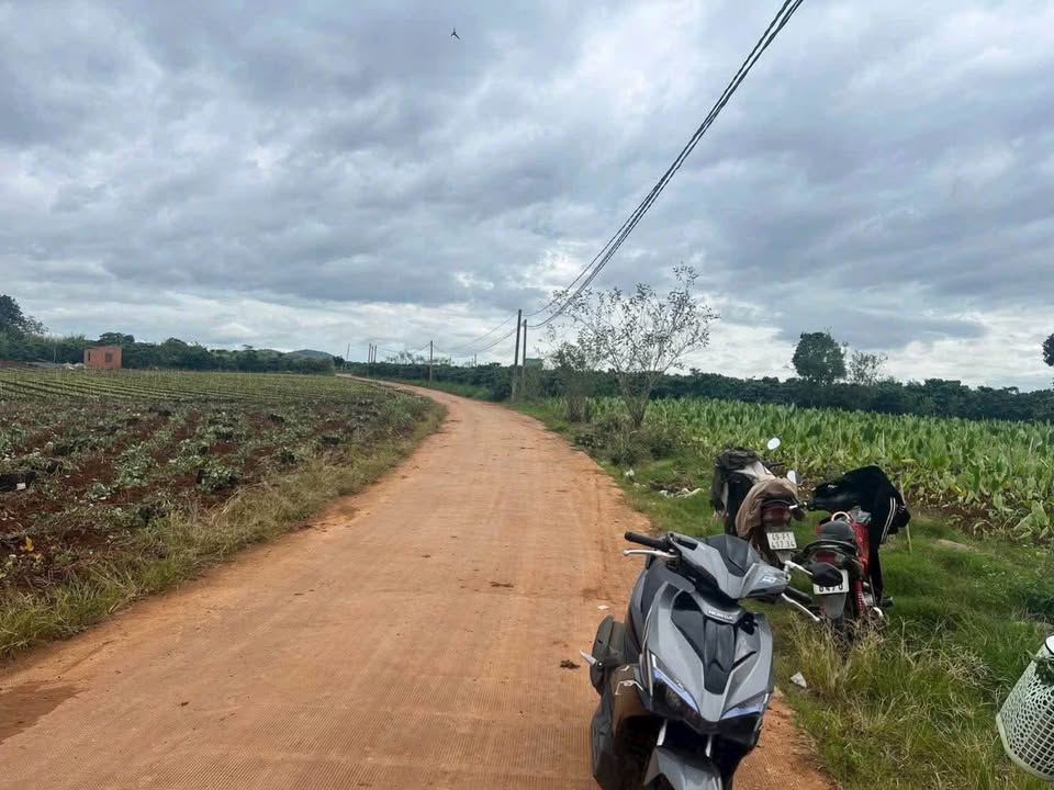 Đất nền Tân Hội - Đức Trọng 150m² giá chỉ 490 triệu - Cơ hội đầu tư sinh lời!