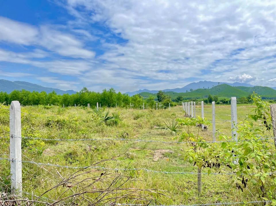 Đất nền Khánh Hiệp, Khánh Vĩnh 184m² giá 290 triệu - Đường ô tô tận nơi!