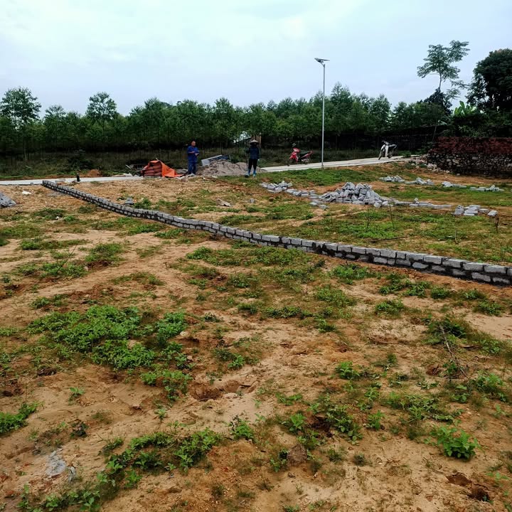 Đất nền Lan Mẫu, Lục Nam 320m² - Sổ hồng chính chủ, giá thỏa thuận hấp dẫn!