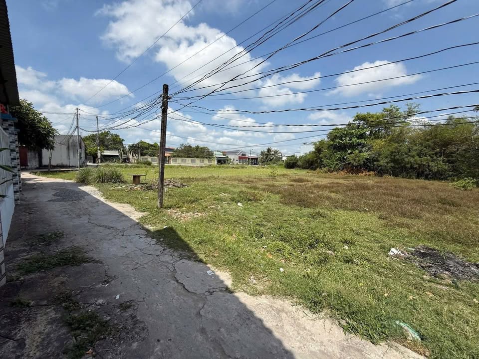 Đất vườn 1380m² Phước Lý Cần Giuộc giá 4.7 tỷ - Đầu tư sinh lời ngay!