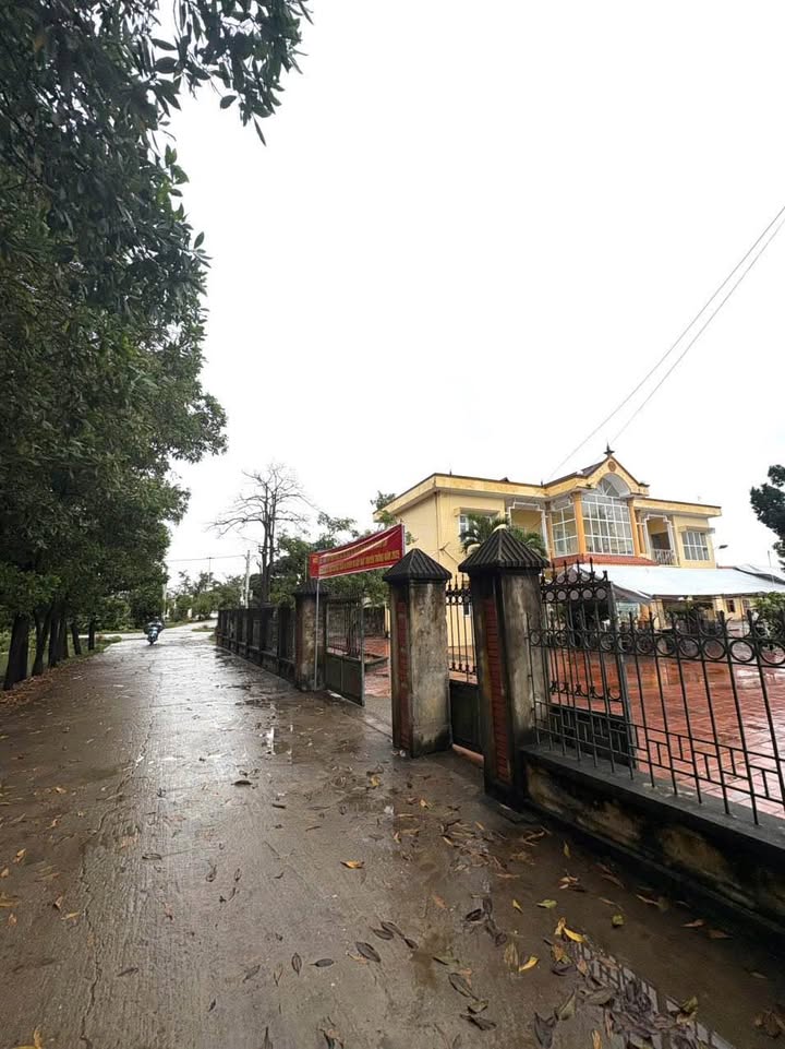 Đất thổ cư 500m² xã Mỹ Hương, Lương Tài - Giá tốt, sổ đỏ chính chủ!