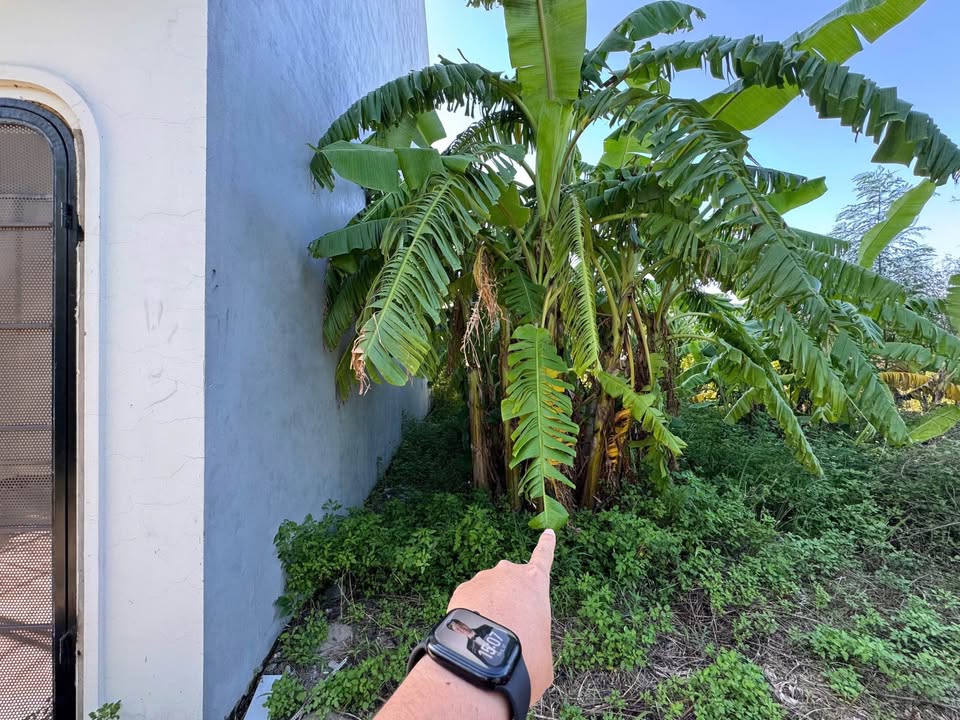 Nhà bán chính chủ Đồ Sơn 56.4m² giá 800 triệu - Vị trí đắc địa Bàng La!