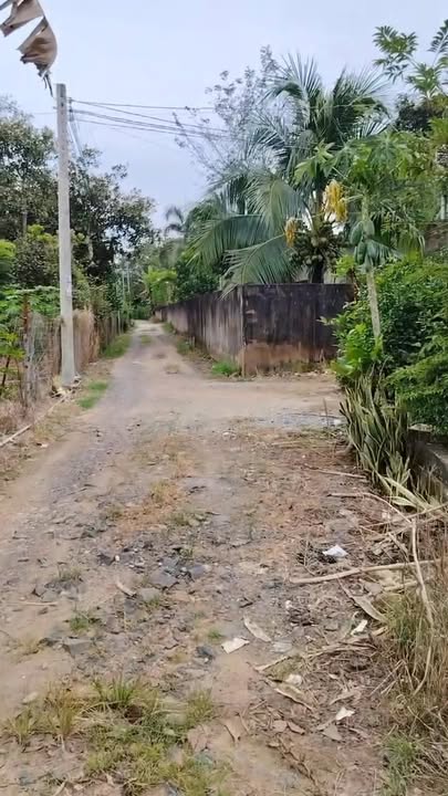 Đất nền Suối Cát, Xuân Lộc 400m² giá 900 triệu - Đường thông thoáng, gần trường học!