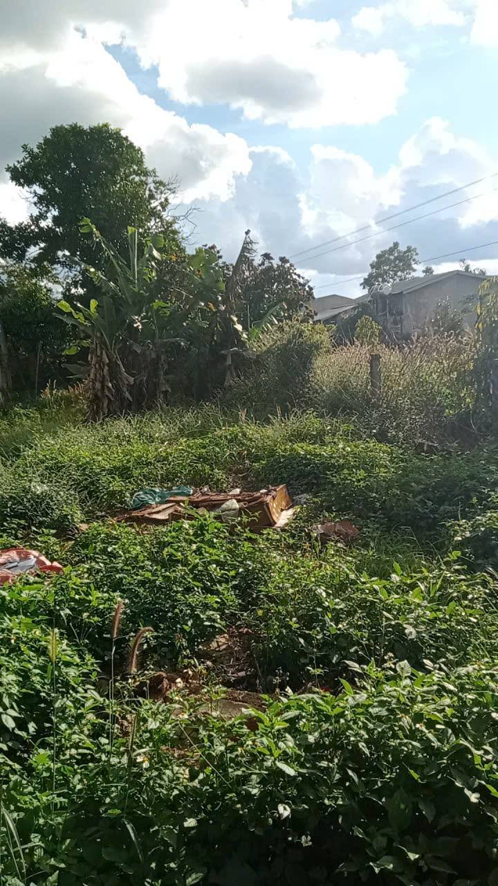 Đất nền thổ cư 228m² tại Hòa Phú, Gia Lai - Giá chỉ 390 triệu, bao sổ