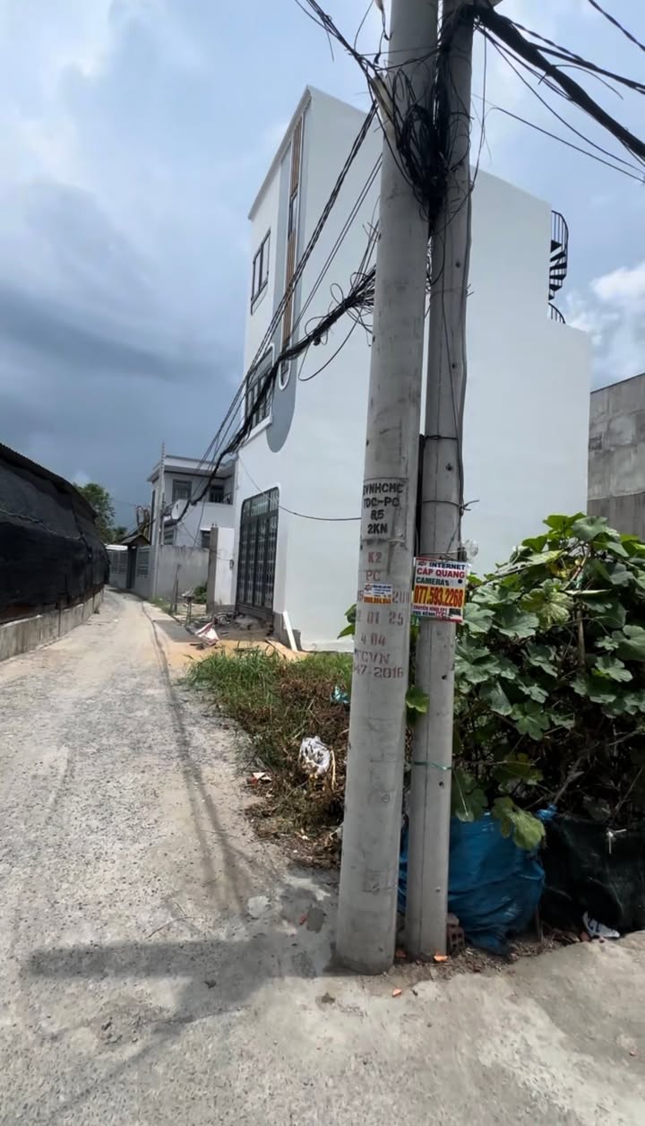 Nhà Tân Túc Bình Chánh 50m² giá 2.3 tỷ - Sổ hồng riêng, vị trí đắc địa!