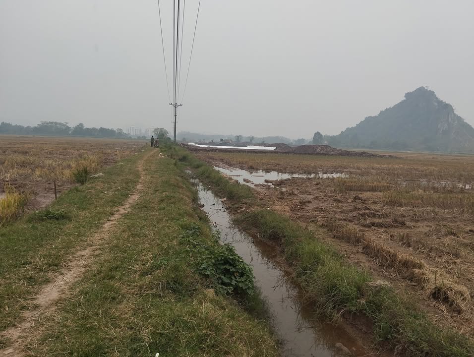 Đất nền xã Ninh Khang 100m² - Mặt tiền đường Trần Minh Công, giá thỏa thuận!