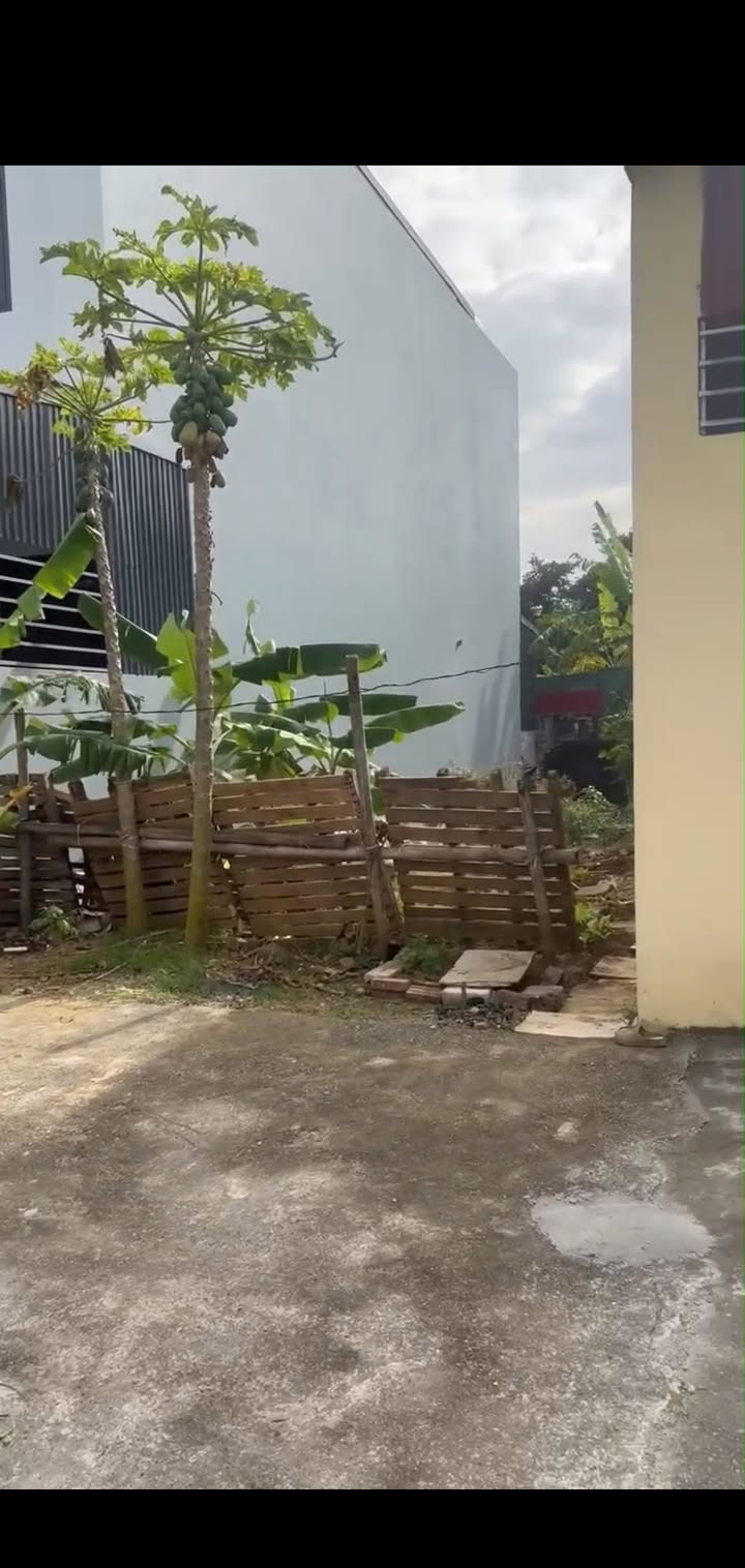 Đất nền tổ 3 phường Trung Sơn, thành phố Tam Điệp 100m² giá 1 tỷ - Đường thông ô tô tránh!