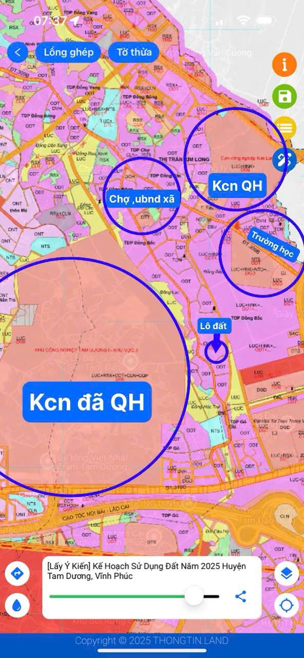 Đất thổ cư Kim Long, Tam Dương 201m² giá chỉ 9xx triệu - Cơ hội đầu tư tuyệt vời!