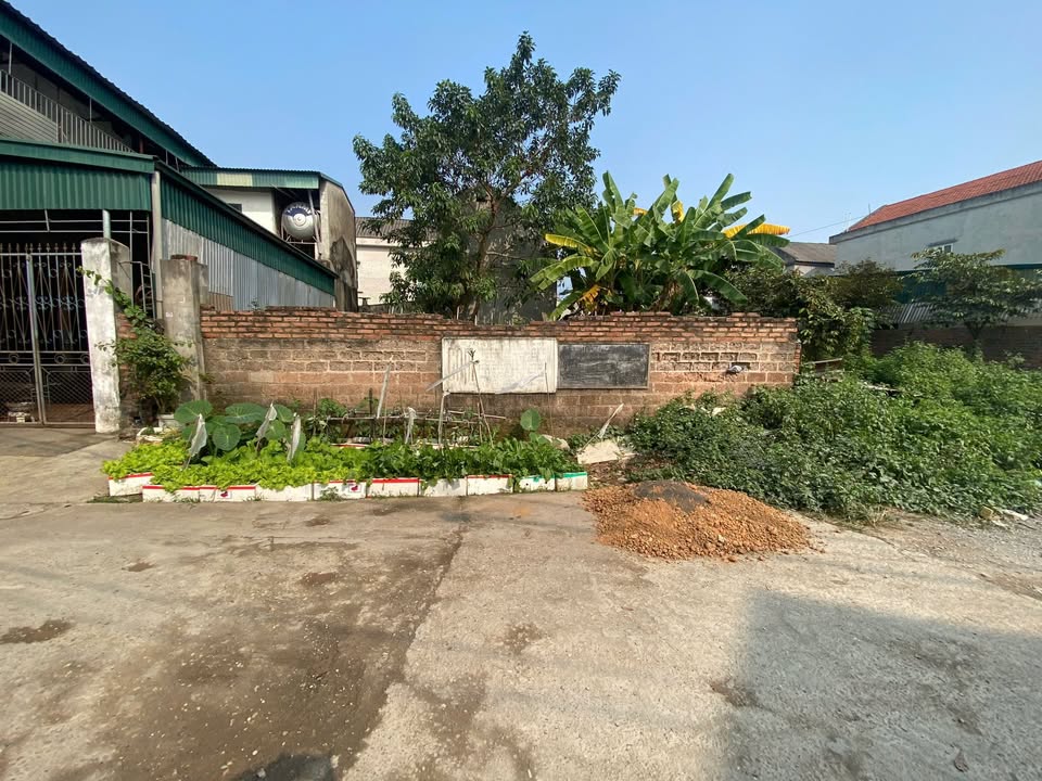 Đất nền Trưng Vương, Việt Trì 112,5m² giá 4 tỷ - Cơ hội đầu tư tuyệt vời!