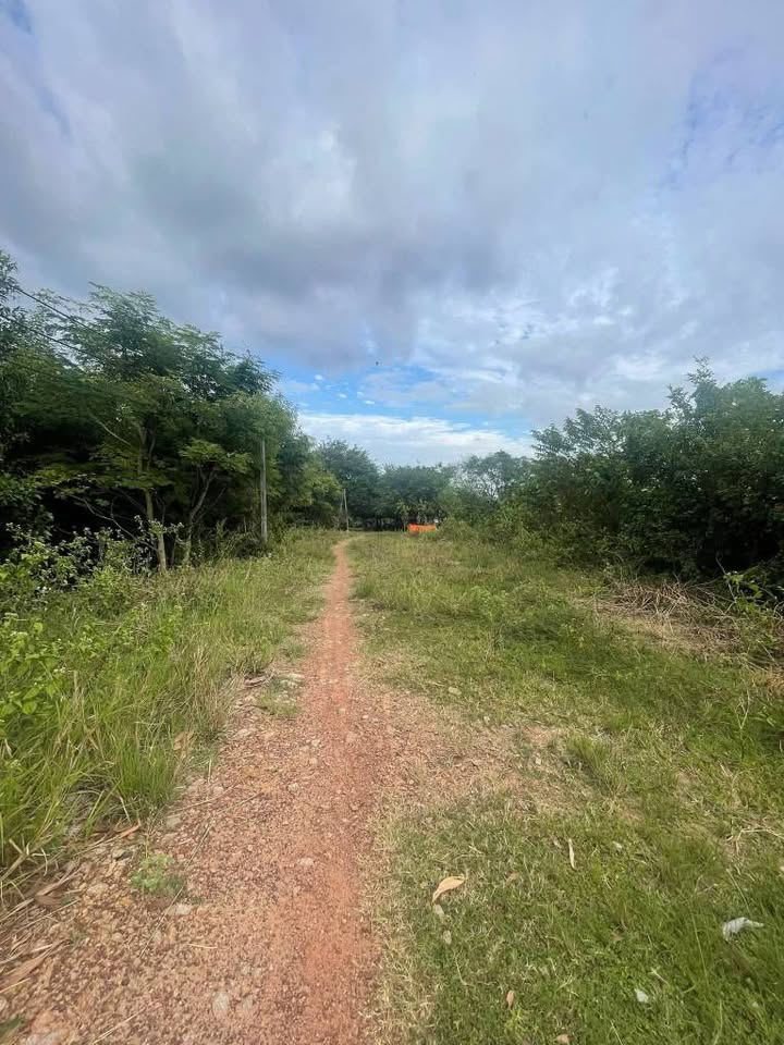 Đất nền 34.000m² Thạnh Đông, Tây Ninh - Giá 1,8 tỷ - Tiềm năng đầu tư sinh lời!