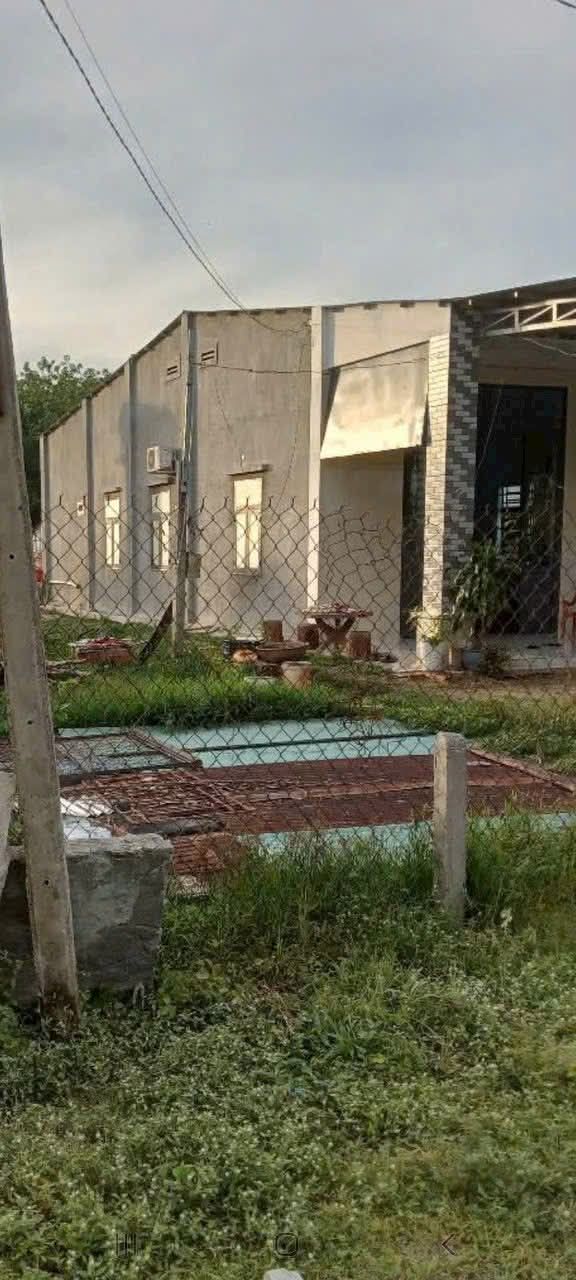 Nhà đất Châu Thành Tây Ninh 1088m² giá 700 triệu - Chính chủ bán gấp!