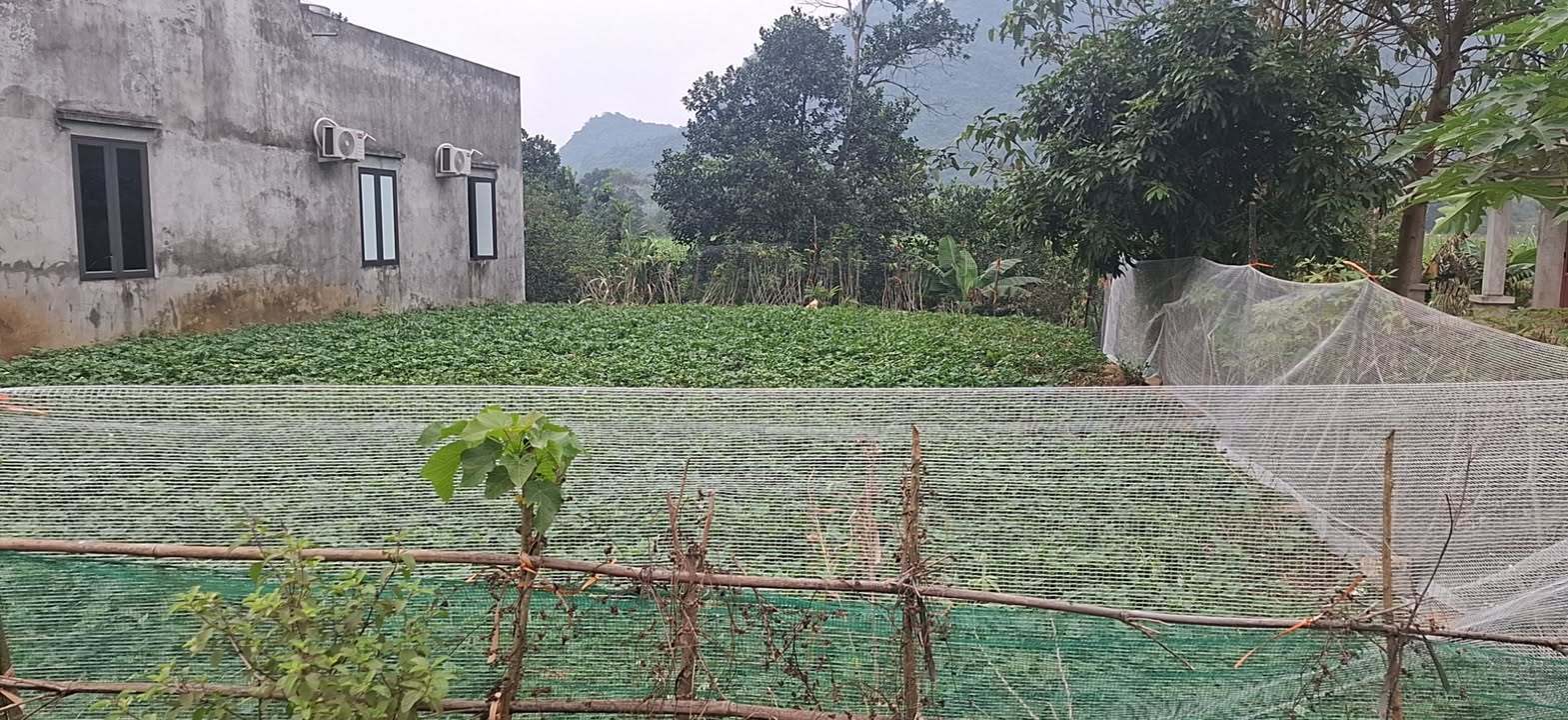 Đất nền Xích Thổ Nho Quan 300m² giá thương lượng - Cơ hội đầu tư hấp dẫn!