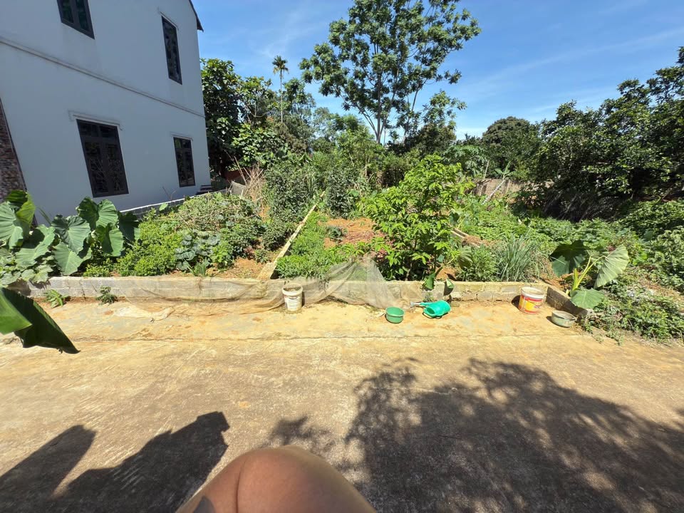 Đất thổ cư 96m² tại Đông Yên, Quốc Oai chỉ 2 tỷ - Đường ô tô vào tận nơi!