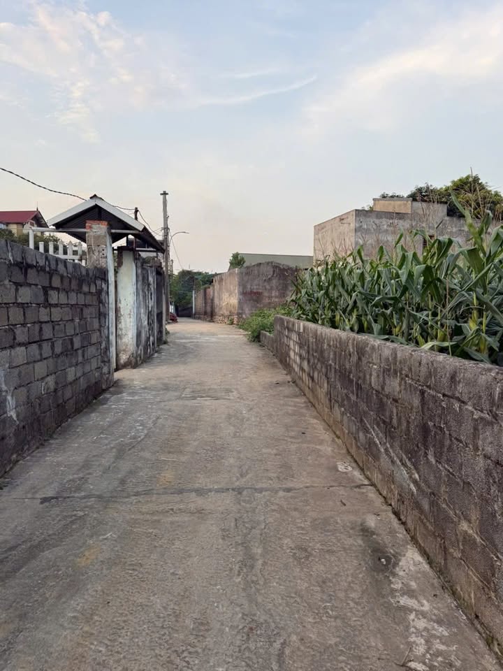 Đất nền 168m² tại Phú Cát - Quốc Oai, giá chỉ 1 tỷ - Cơ hội đầu tư tuyệt vời!