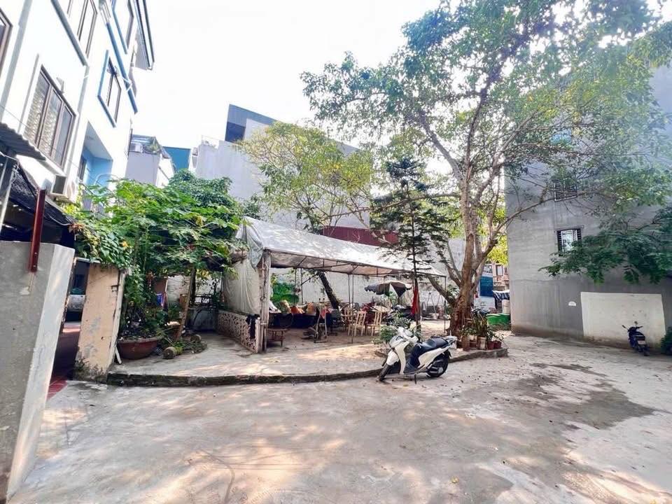 Căn hộ CCMN đường Nguyễn Huệ 76m² giá 15 tỷ - Đầu tư sinh lời bền vững!