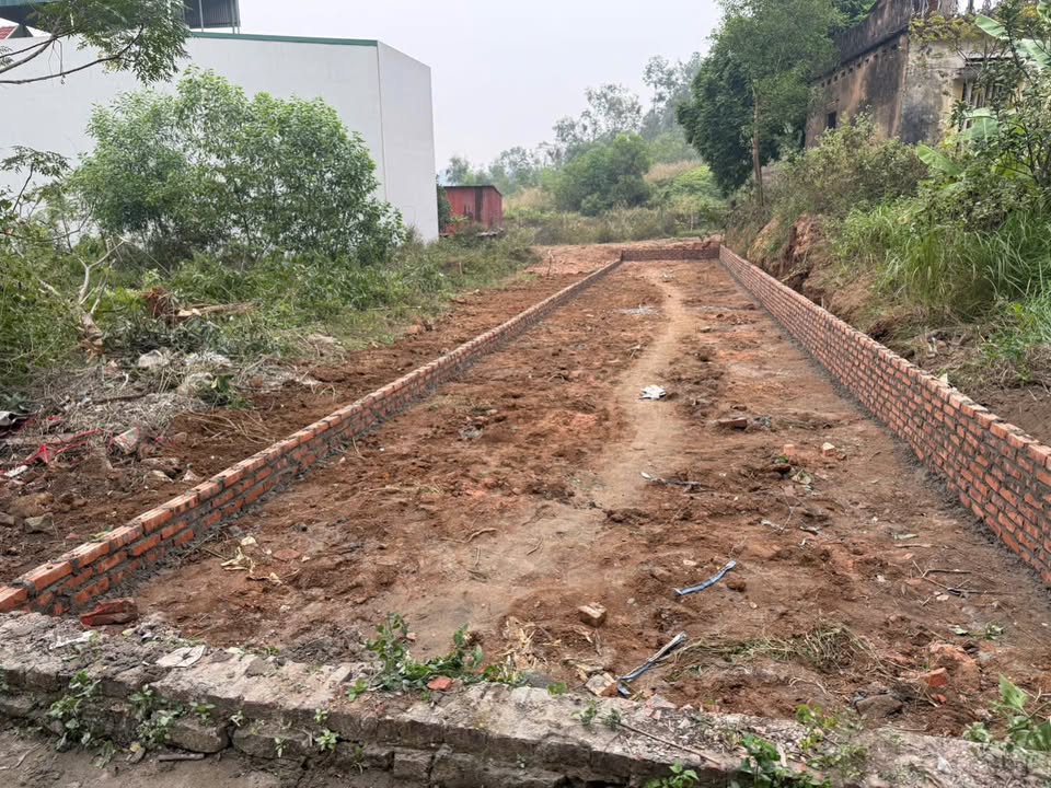 Đất nền Phật Tích 124m² giá 2.1 tỷ - Ô tô tránh nhau, thông 2 đầu đường!