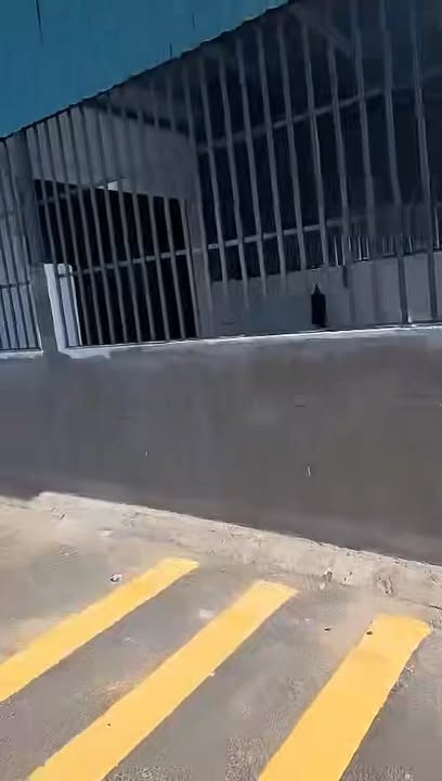 Đất nông nghiệp 90m² tại Vũng Tàu - Sổ đỏ riêng, giá chỉ 2.68 tỷ!