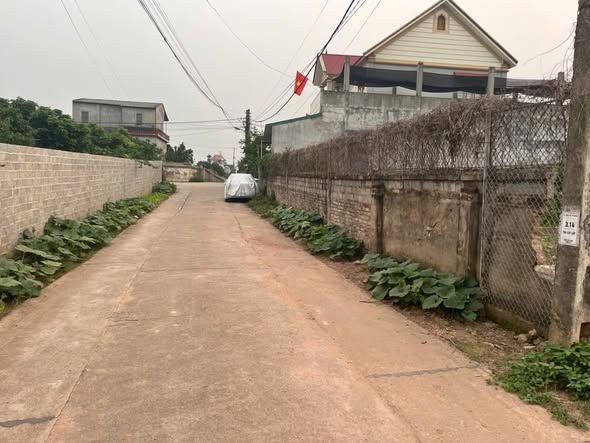 Đất nền chính chủ tại phường Chũ, Bắc Ninh 246m² - Pháp lý đầy đủ, giá thỏa thuận!