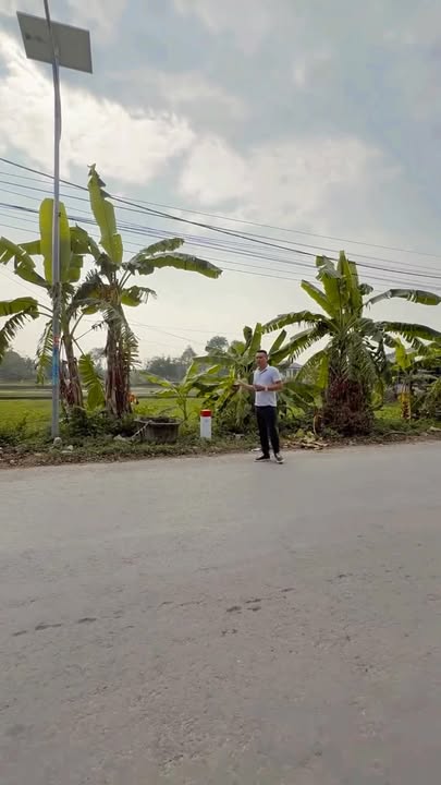 Đất nền chính chủ tại Yên Định, Thanh Hóa 250m² giá 1 tỷ - Đầu tư sinh lời ngay!