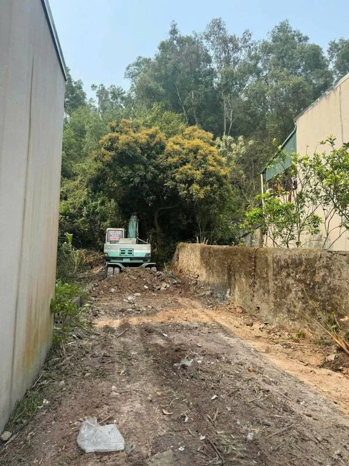 Lô đất mặt tiền Quốc lộ 45, Đông Sơn, 118m² giá 2.35 tỷ - Tiềm năng đầu tư lớn!