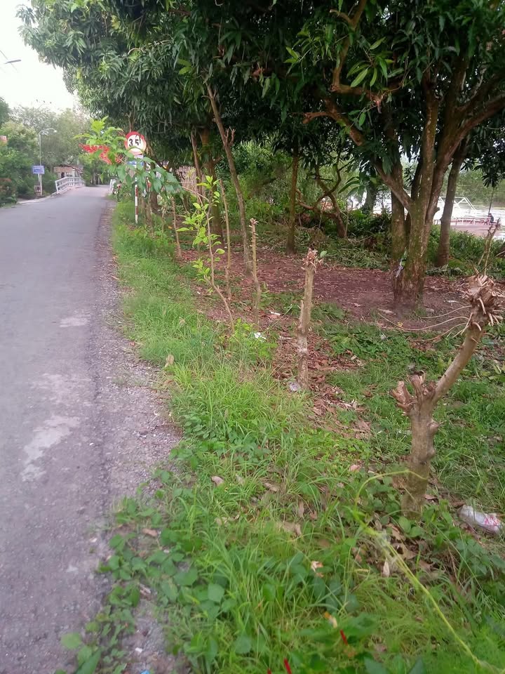 Đất nền 36m² tại Mỹ Lương, Cái Bè - Đầu tư kinh doanh lý tưởng chỉ 2.34 tỷ!