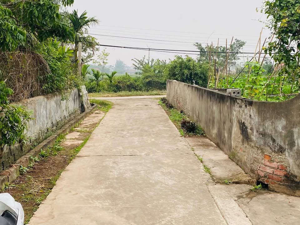 Bán đất tặng nhà tại Rạng Đông, Nghĩa Hưng, 291.2m² giá 1.6 tỷ - Đường ô tô vào tận nơi!