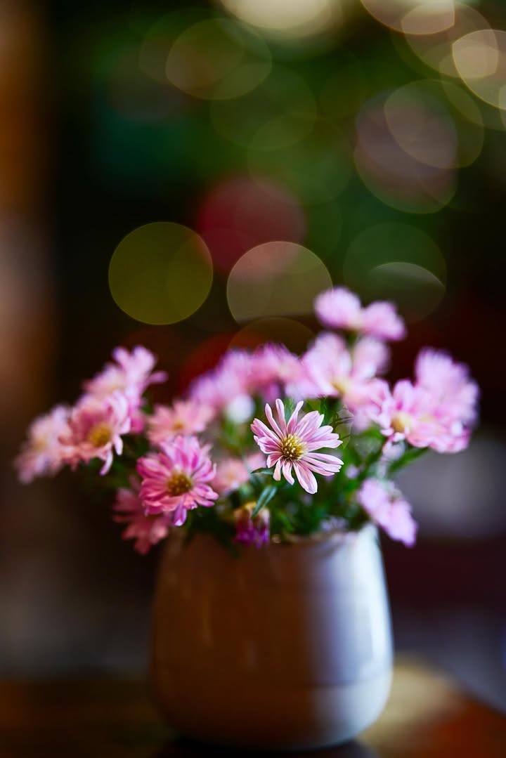 Đất thổ cư 200m² tại Thôn 9, Đăk Cấm, Kon Tum chỉ 700 triệu - Đầu tư sinh lời ngay!