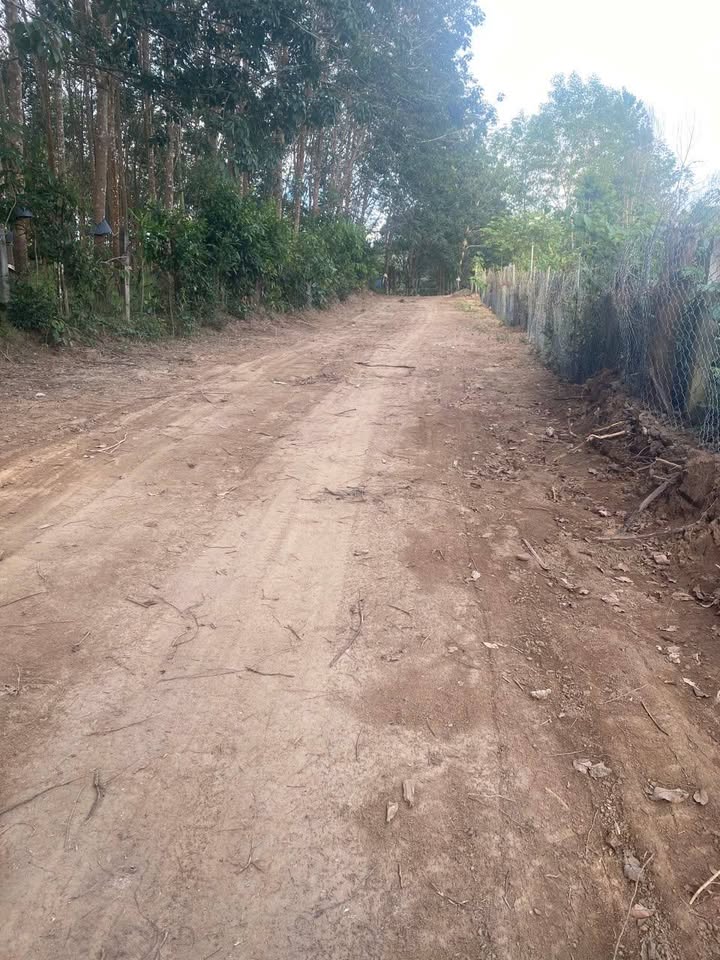 Đất nông nghiệp Đăk Cấm, Kon Tum 250m² - Giá rẻ nhất khu vực!