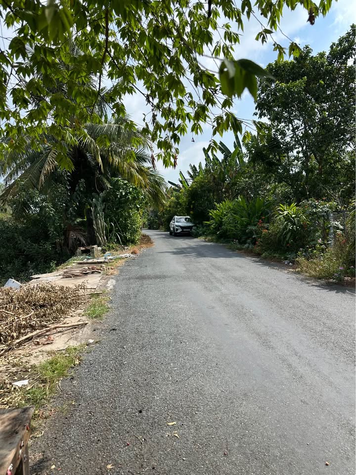 Nhà yến 1 trệt 1 lầu tại Phú Thuận, Thoại Sơn 228m² - Đầu tư sinh lời ổn định!