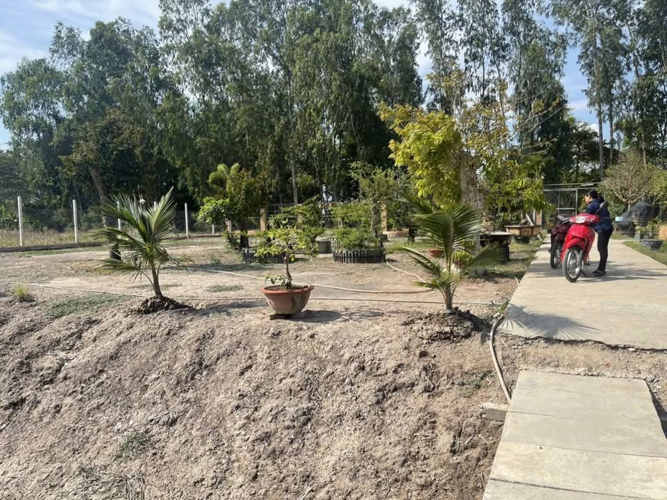 Đất vườn Bình Khánh 3000m² giá thỏa thuận - Phù hợp nghỉ dưỡng