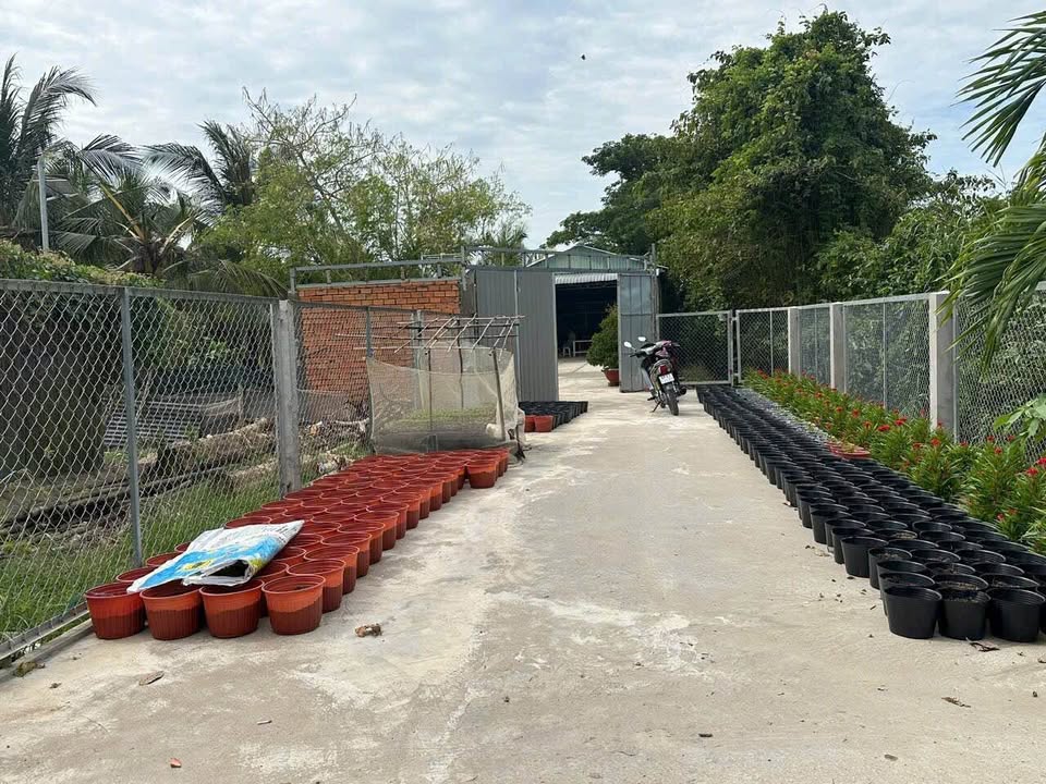 Đất vườn tại Phường Mỹ Thới, Long Xuyên 2834m² giá 2 tỷ - Đường xe ô tô vào tận nơi!