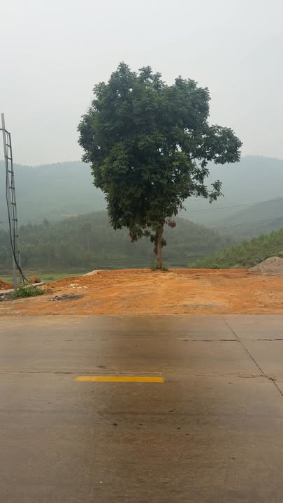 Đất nền kinh doanh tại Đồng Cốc, Thanh Sơn, Phú Thọ diện tích 441m² - Cơ hội đầu tư vàng!