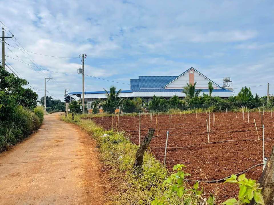 Đất nền Tân Hội 6m ngang chỉ 480 triệu - Cơ hội đầu tư sinh lời!