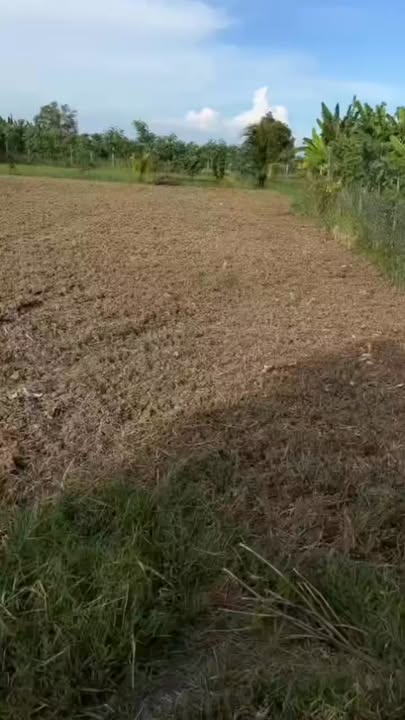 Đất thổ cư Tân Hòa, Đồng Tháp 192m² giá chỉ 4xx triệu - Cơ hội đầu tư tuyệt vời!