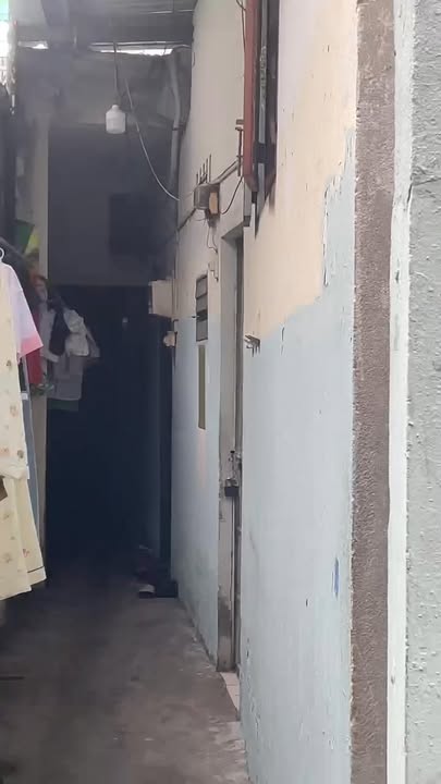 Nhà trọ 6 phòng Gò Vấp 101m² giá 7.2 tỷ - Đầu tư sinh lời cao!