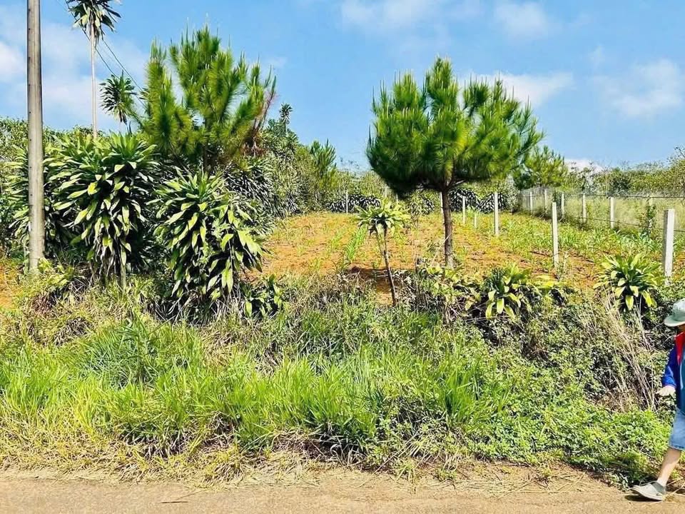 Đất nền Lộc Quảng Bảo Lâm 294m² giá 800 triệu - Lô góc 2 mặt tiền đường!