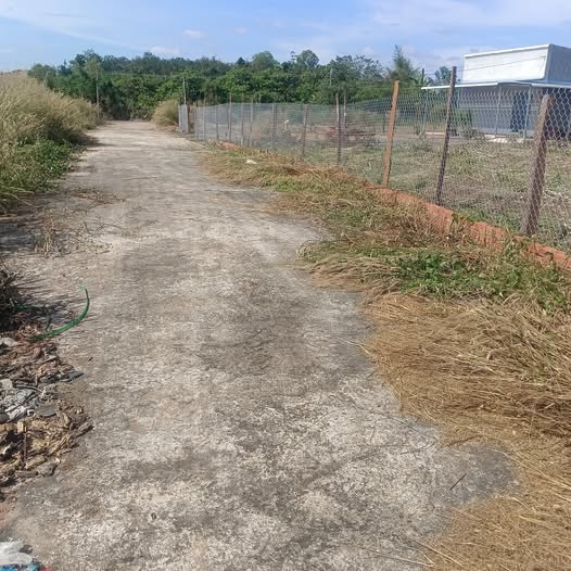 Đất nền 1000m² Lộc Hiệp Bình Phước giá chỉ 250 triệu - Sổ hồng rõ ràng!