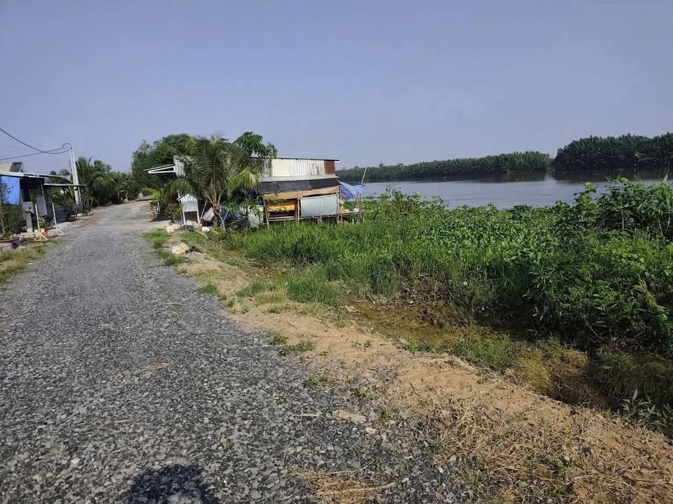 Đất nền mặt tiền sông Vàm Cỏ Đông tại Thạnh Lợi, Bến Lức 584m² giá chỉ 790 triệu