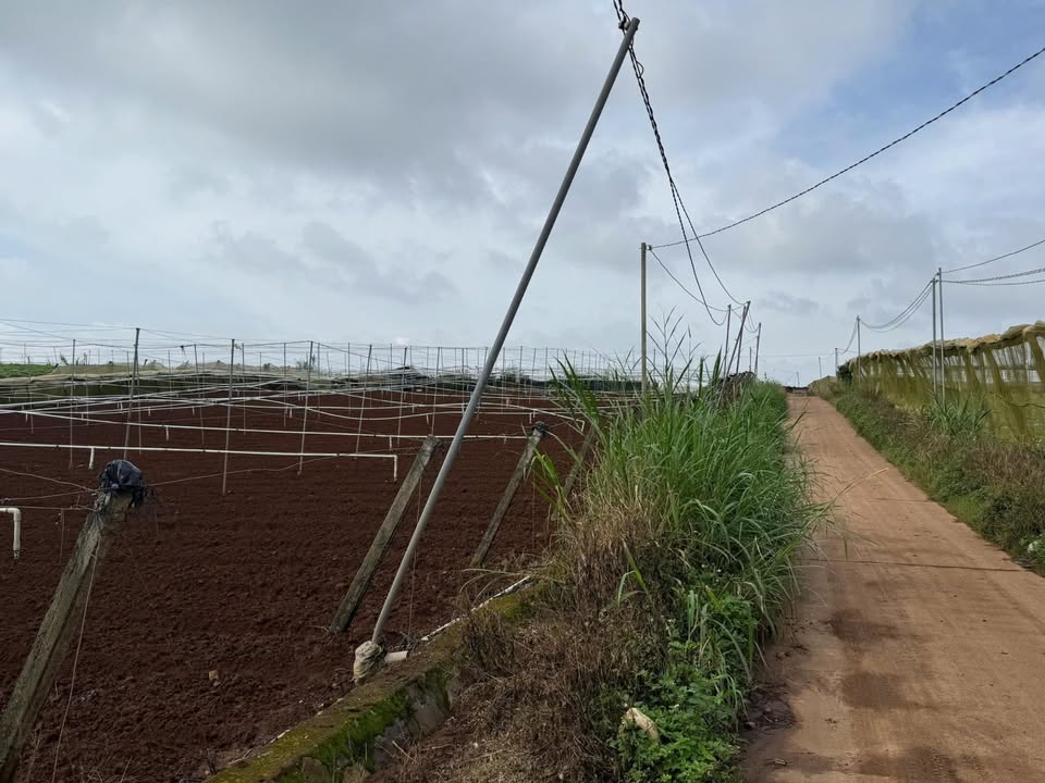 Đất thổ cư 5100m² tại Ka Đô, Đơn Dương, giá 4.2 tỷ - Cơ hội đầu tư hấp dẫn!