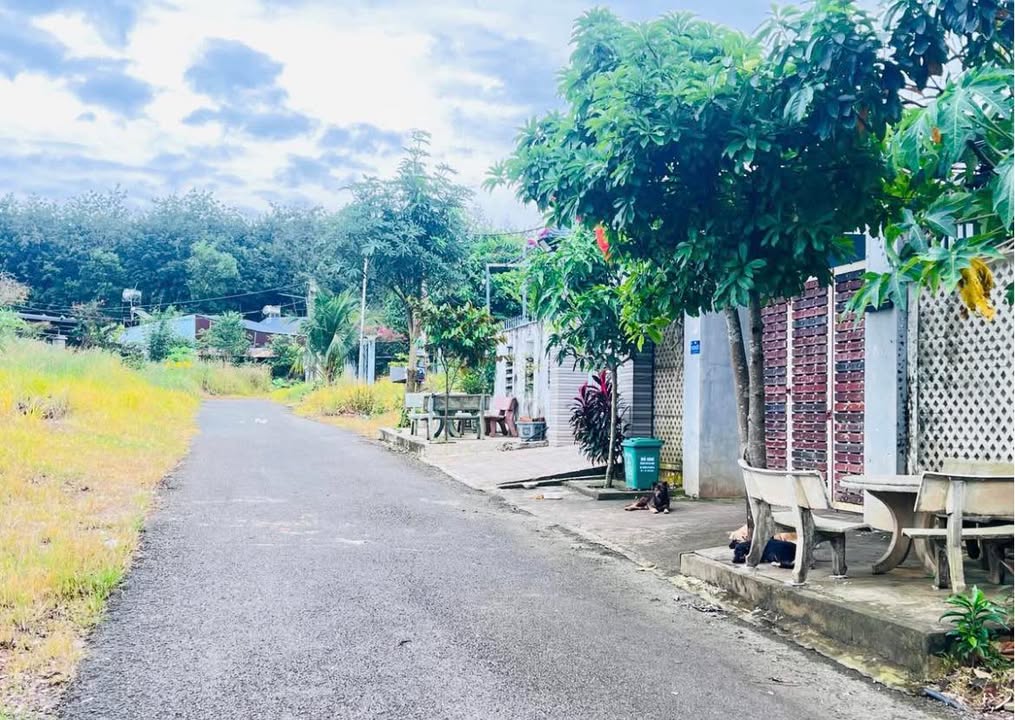 Đất nền Tiến Thành, Đồng Xoài 2600m² giá 800 triệu - Đầu tư sinh lời tuyệt vời!