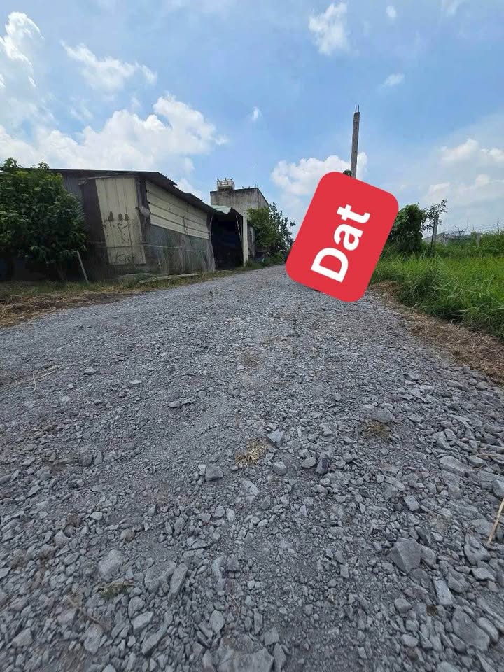 Đất thổ cư Mỹ Hạnh Nam 420m² giá 1.25 tỷ - Cơ hội đầu tư tuyệt vời!