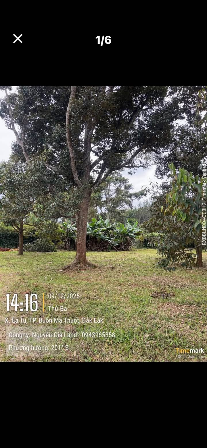 Đất nền phường Tân An, Củ Chi 600m² giá 1.27 tỷ - Sổ hồng chính chủ, thương lượng nhẹ!