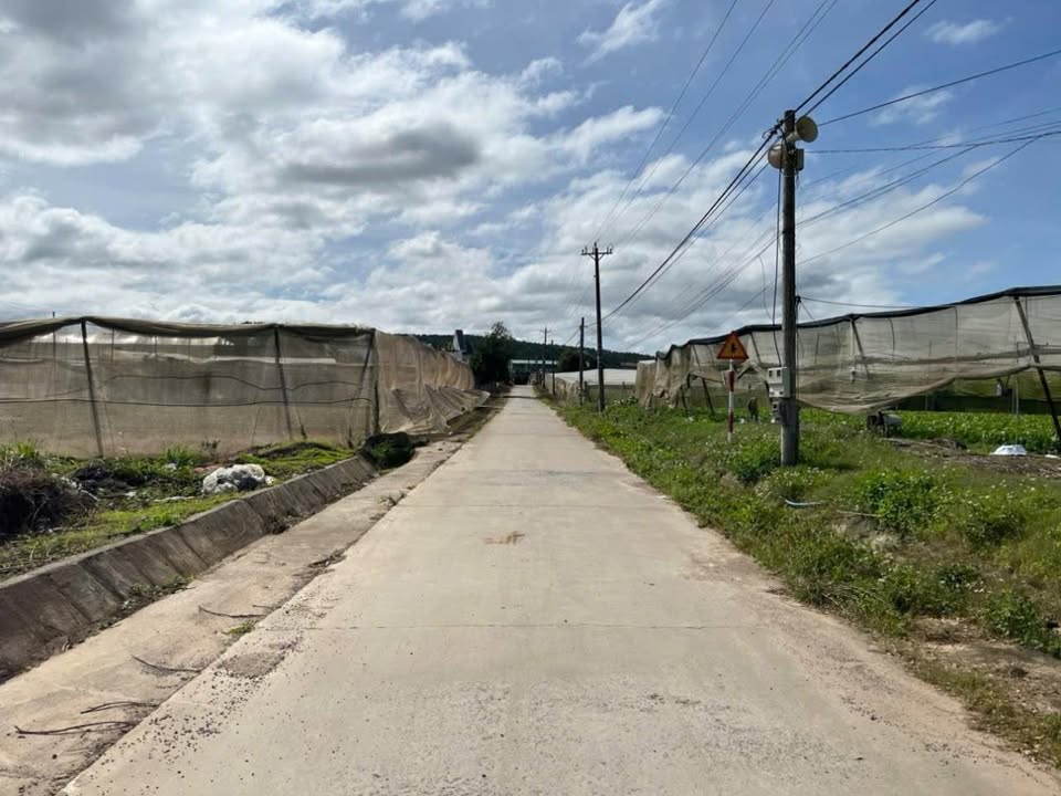 Lô đất Thổ cư Đơn Dương 75m² giá 700 triệu - Đầu tư sinh lời ngay!