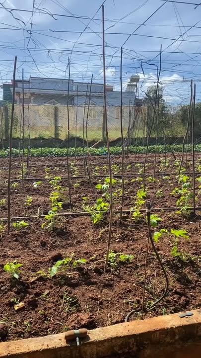 Đất nền Suối Thông B, Đạ Ròn 1249m² giá chỉ 162.37 tỷ - Cơ hội đầu tư sinh lời!